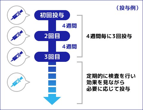 治療のスケジュール